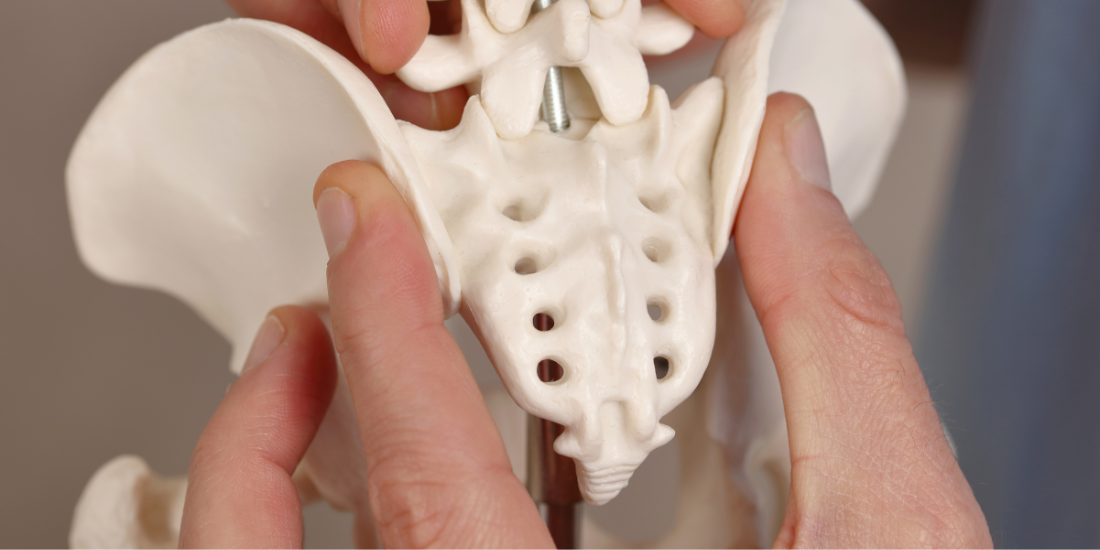 Understanding Coccyx Pain - Our Osteopath Answers Your FAQs